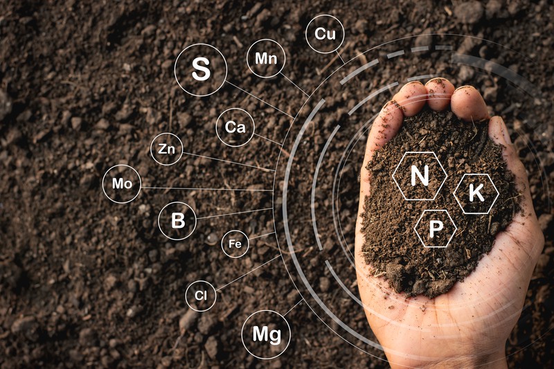 First image of «Net-Zero Farms»
